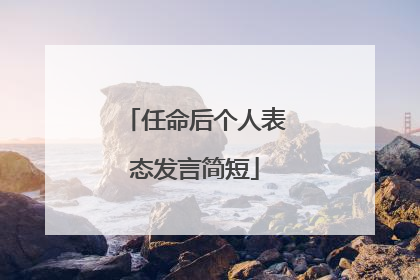 任命后个人表态发言简短