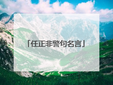 任正非警句名言