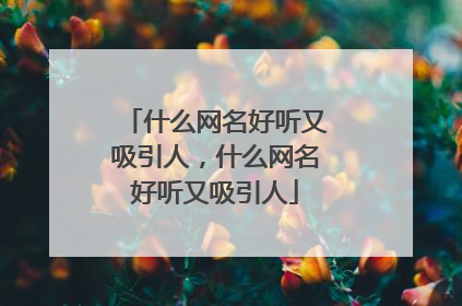 什么网名好听又吸引人，什么网名好听又吸引人