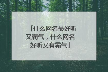 什么网名最好听又霸气，什么网名好听又有霸气