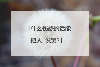 什么伤感的话能把人 说哭?