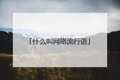 什么叫网络流行语
