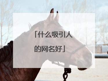 什么吸引人的网名好