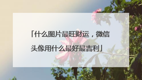 什么图片最旺财运,微信头像用什么最好最吉利