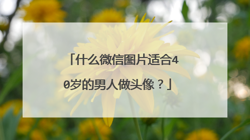 什么微信图片适合40岁的男人做头像？