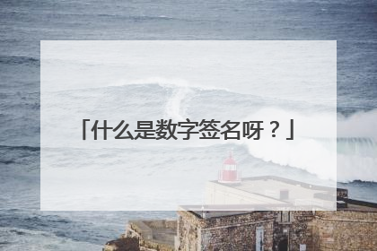 什么是数字签名呀?