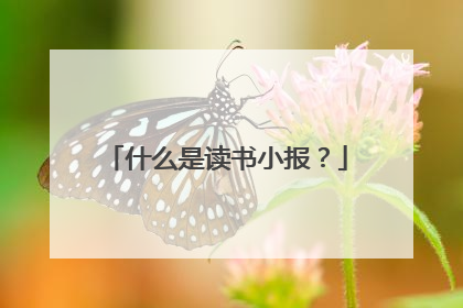 什么是读书小报？