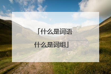 什么是词语什么是词组