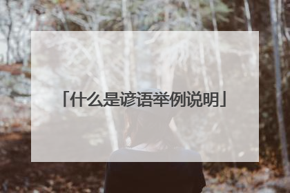 什么是谚语举例说明