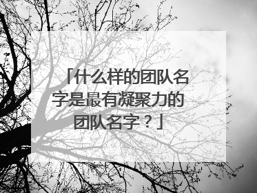 什么样的团队名字是最有凝聚力的团队名字？