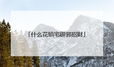 什么花镇宅辟邪招财