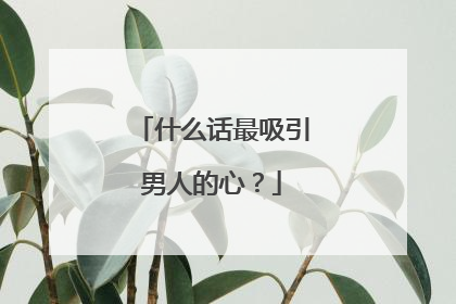 什么话最吸引男人的心？