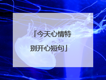 今天心情特别开心短句