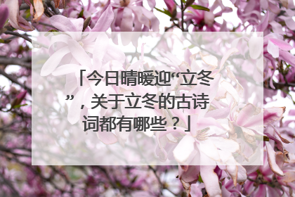 今日晴暖迎“立冬”，关于立冬的古诗词都有哪些？