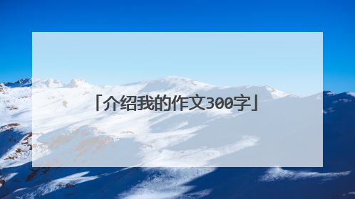 介绍我的作文300字