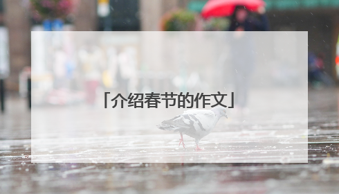 介绍春节的作文