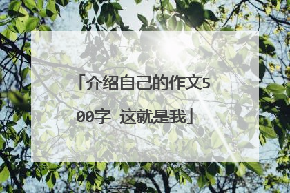 介绍自己的作文500字 这就是我