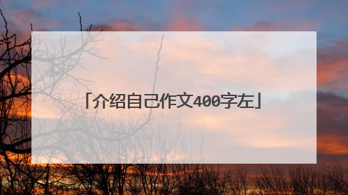 介绍自己作文400字左