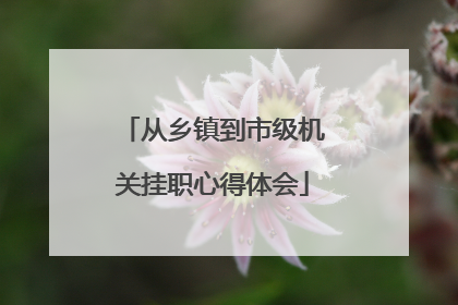 从乡镇到市级机关挂职心得体会