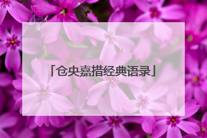 仓央嘉措经典语录