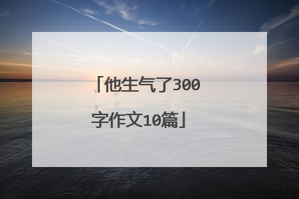 他生气了300字作文10篇
