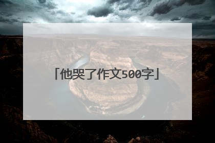 他哭了作文500字
