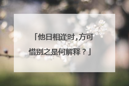 他日相逢时,方可惜别之是何解释？