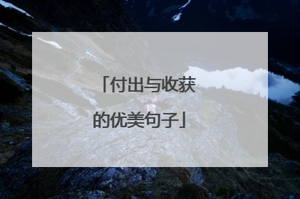 付出与收获的优美句子