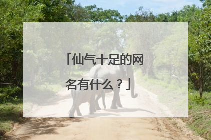 仙气十足的网名有什么？