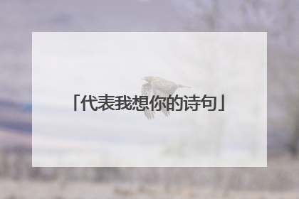 代表我想你的诗句