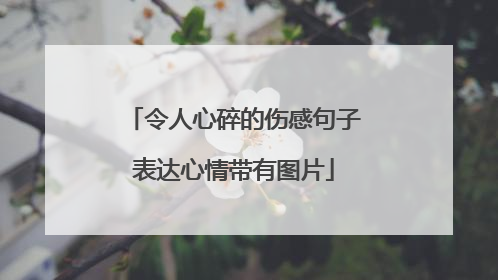 令人心碎的伤感句子表达心情带有图片