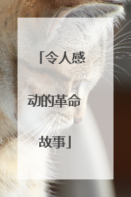 令人感动的革命故事