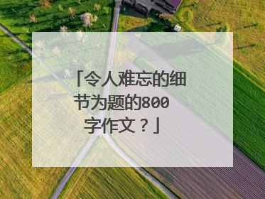 令人难忘的细节为题的800字作文？