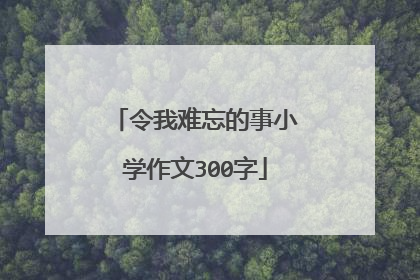 令我难忘的事小学作文300字