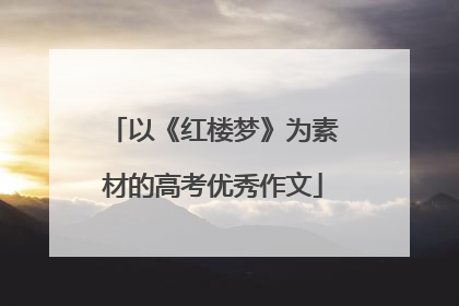 以《红楼梦》为素材的高考优秀作文