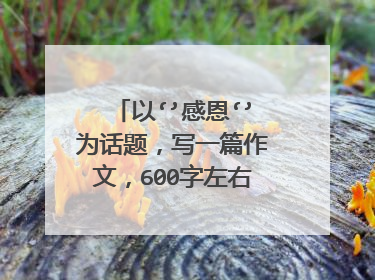 以‘’感恩‘’为话题，写一篇作文，600字左右，题目自拟。