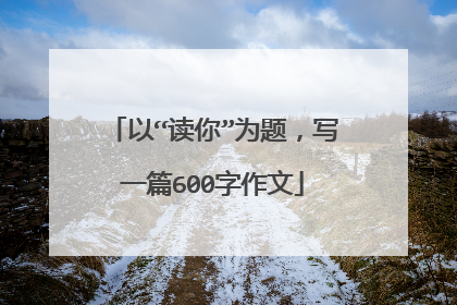 以“读你”为题，写一篇600字作文