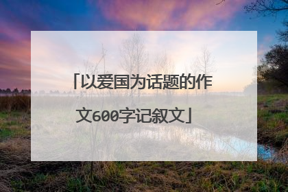 以爱国为话题的作文600字记叙文