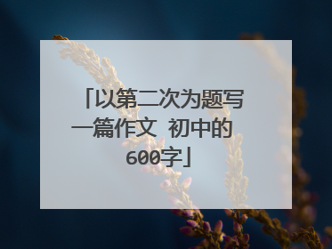 以第二次为题写一篇作文 初中的 600字