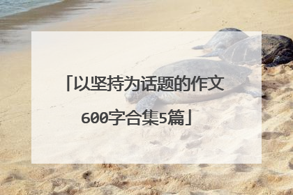 以坚持为话题的作文600字合集5篇