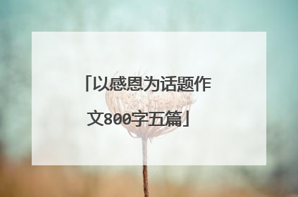 以感恩为话题作文800字五篇