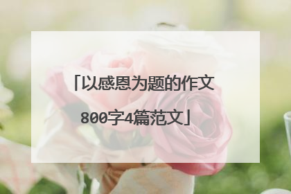 以感恩为题的作文800字4篇范文