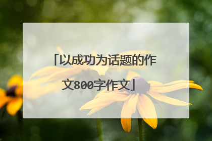 以成功为话题的作文800字作文