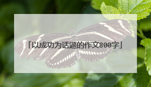 以成功为话题的作文800字