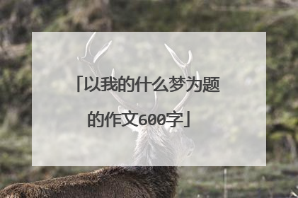 以我的什么梦为题的作文600字