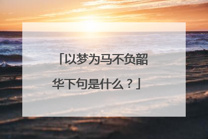 以梦为马不负韶华下句是什么？