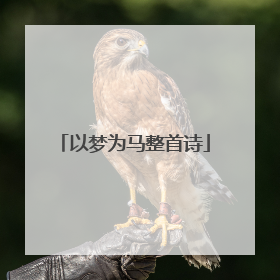以梦为马整首诗