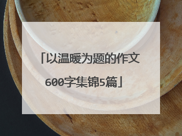 以温暖为题的作文600字集锦5篇