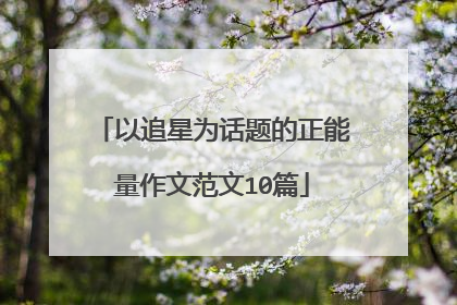 以追星为话题的正能量作文范文10篇