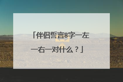 伴侣誓言8字一左一右一对什么？